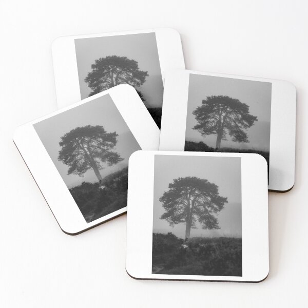 Item preview, Tree Landscape In Mist Black and White Photographic Print designed and sold by Mother-Nature65.