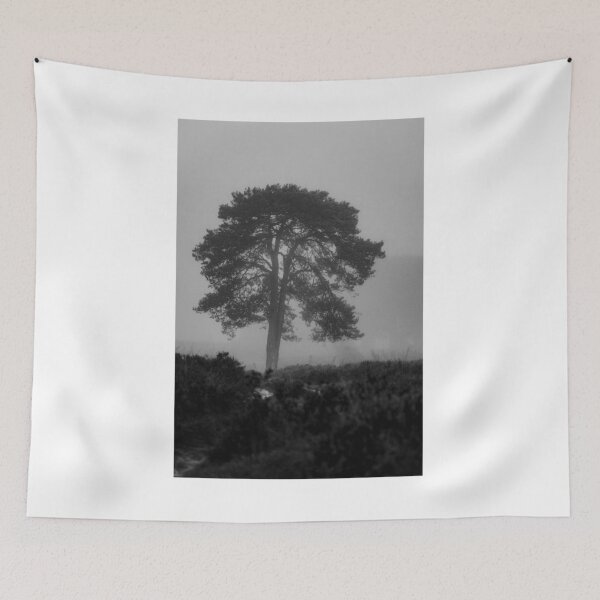 Item preview, Tree Landscape In Mist Black and White Photographic Print designed and sold by Mother-Nature65.