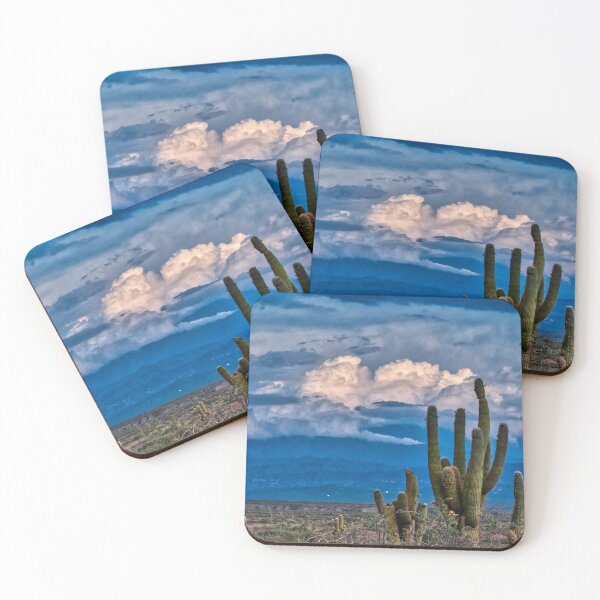 Item preview, Cactus Cardón bajo Cielo Dramático – Valles Calchaquíes, Salta, Argentina designed and sold by Keltoi-art.