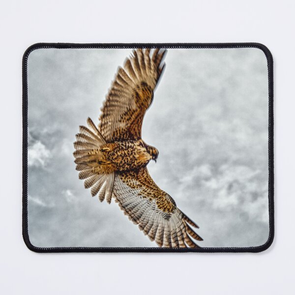 Item preview, Hawk in Flight - Majestic Wild Raptor Dynamic Pose designed and sold by Keltoi-art.