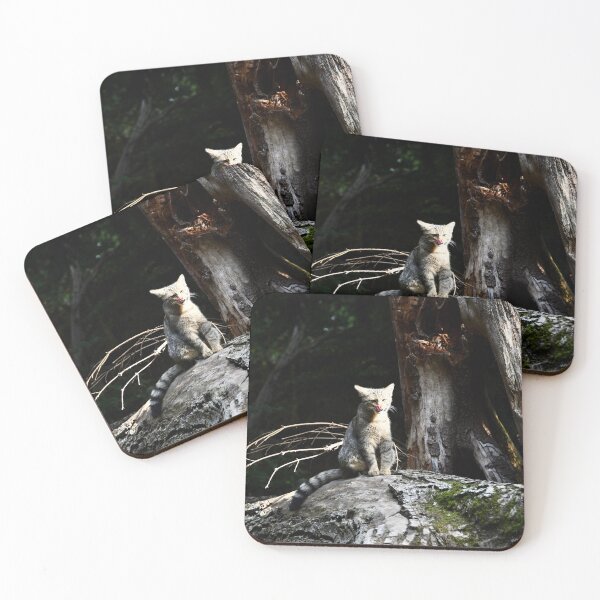 Item preview, Sitting wildcat – peace & enjoyment / Swiss Artwork Photography designed and sold by Raphael Wolf.