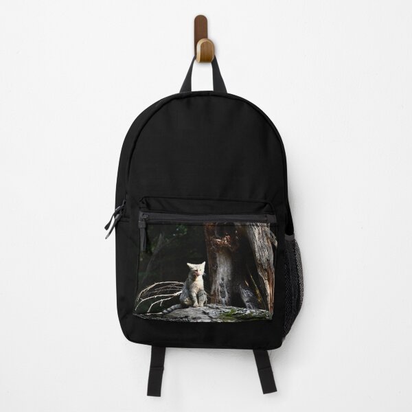 Item preview, Sitting wildcat – peace & enjoyment / Swiss Artwork Photography designed and sold by Raphael Wolf.