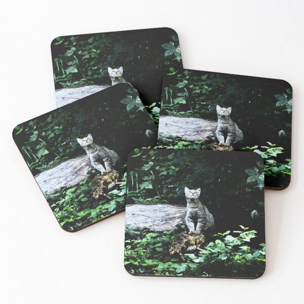 Item preview, Wildcat in the forest – Curiosity & sunlight / Swiss Artwork Photography designed and sold by Raphael Wolf.