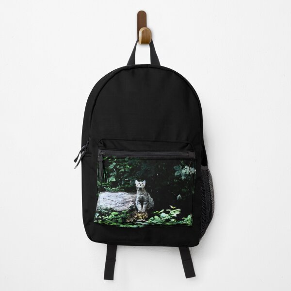 Item preview, Wildcat in the forest – Curiosity & sunlight / Swiss Artwork Photography designed and sold by Raphael Wolf.