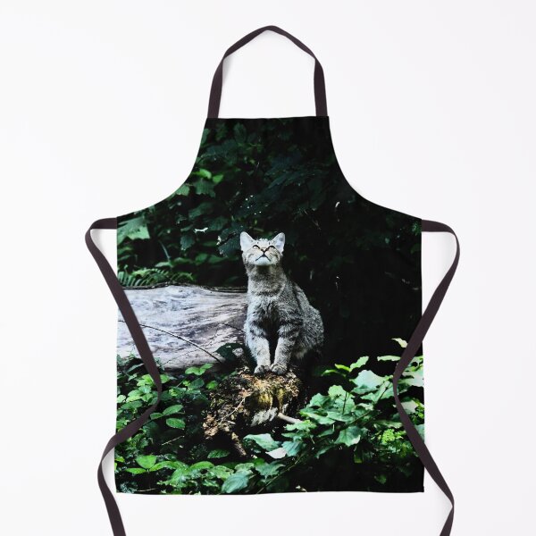 Item preview, Wildcat in the forest – Curiosity & sunlight / Swiss Artwork Photography designed and sold by Raphael Wolf.
