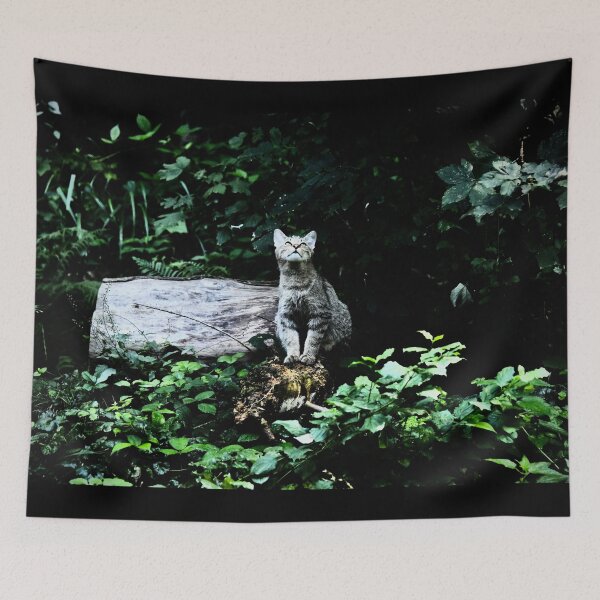 Item preview, Wildcat in the forest – Curiosity & sunlight / Swiss Artwork Photography designed and sold by Raphael Wolf.