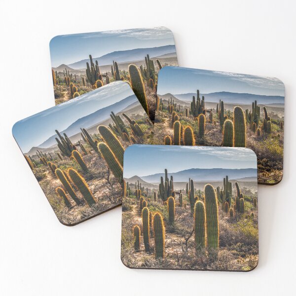 Item preview, Cardones al Amanecer – Luz Dorada de los Valles Calchaquíes (Salta) designed and sold by Keltoi-art.