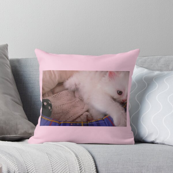Item preview, White Persian Fluffy Baby Cat Vanda Playing (Photo by ACCI) designed and sold by VanyssaGraphics.