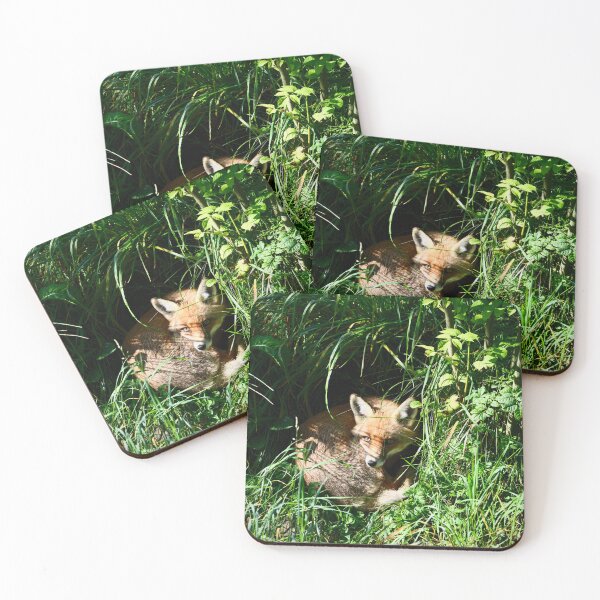 Item preview, Sleeping Fox – Peace & Observation / Swiss Artwork Photography designed and sold by Raphael Wolf.