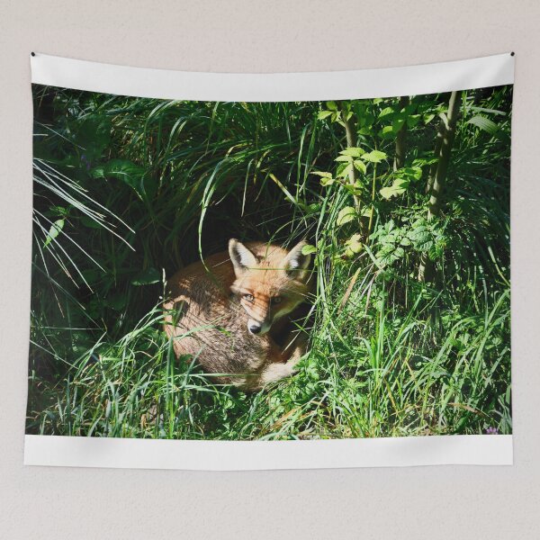 Item preview, Sleeping Fox – Peace & Observation / Swiss Artwork Photography designed and sold by Raphael Wolf.