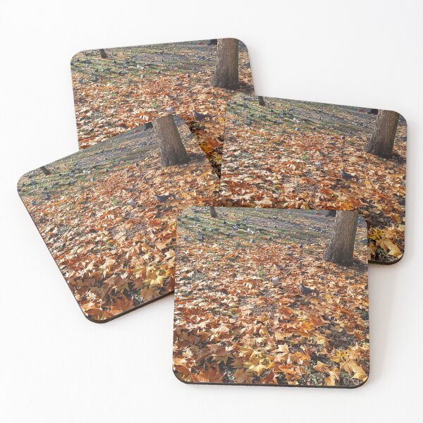 Item preview, maple leaves, maple, park, autumn, pigeons, tree, nature designed and sold by colorgallery11.