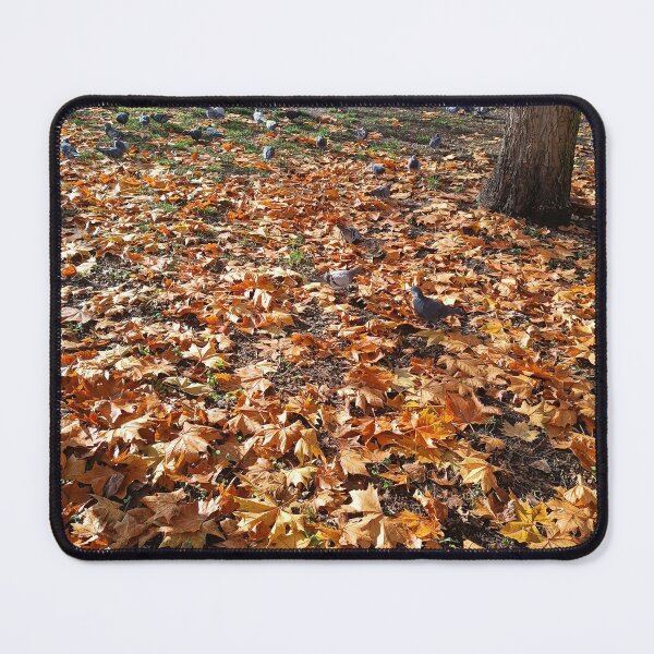Item preview, maple leaves, maple, park, autumn, pigeons, tree, nature designed and sold by colorgallery11.