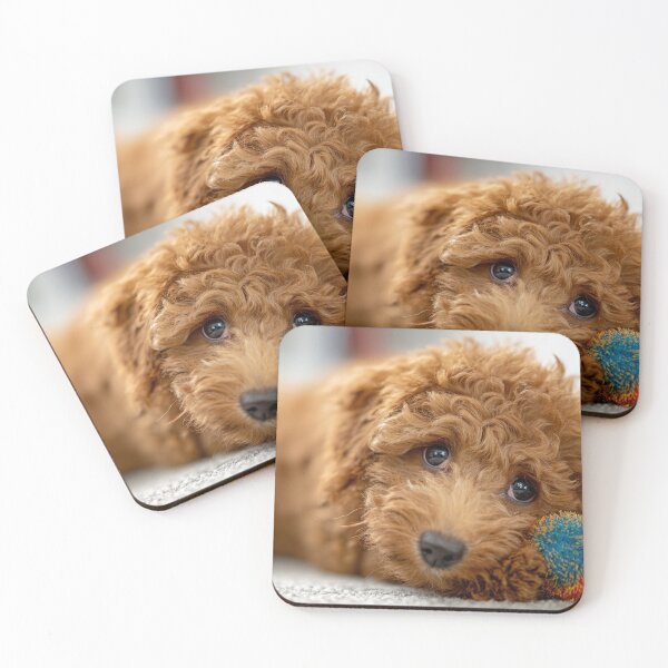 Item preview, Cute puppy resting with colorful toy designed and sold by anytka.