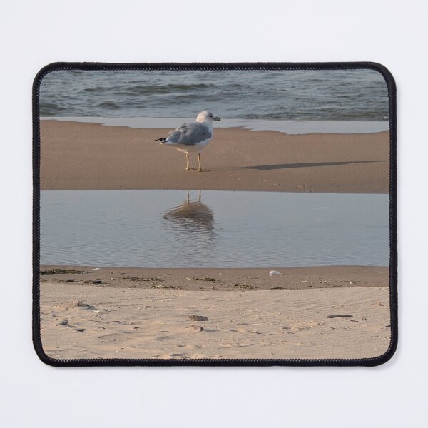 Item preview, Seagull designed and sold by Mallorymeanmom.