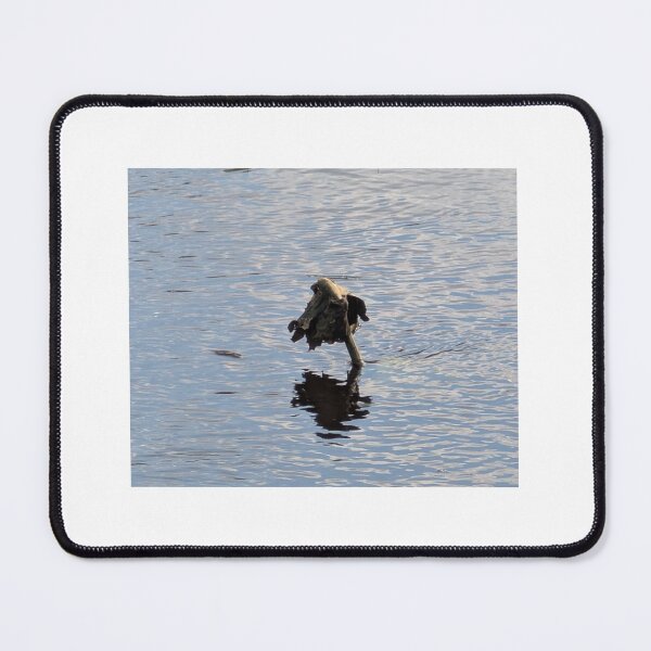 Item preview, Hanging in the water designed and sold by Mallorymeanmom.