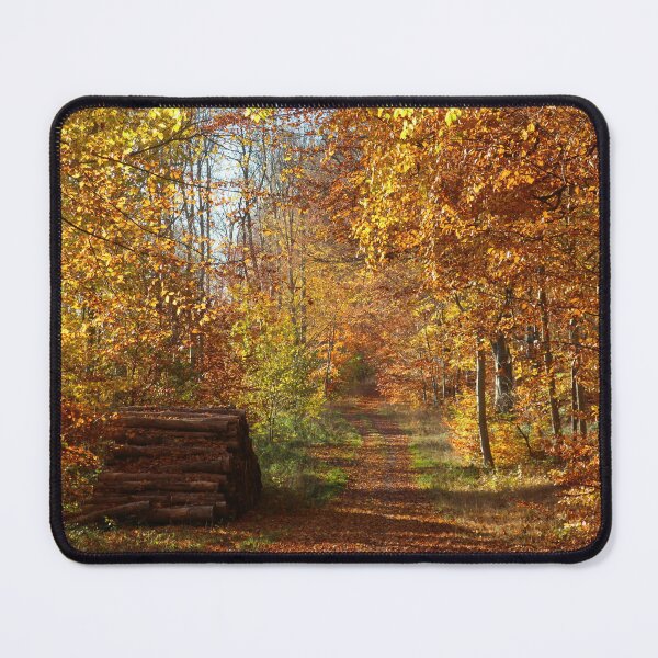 Item preview, Sunny autumn day in the forest designed and sold by Trine.