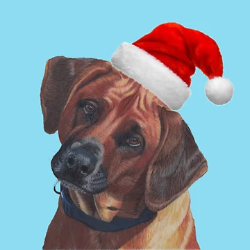 Artwork thumbnail, Christmas Rhodesian Ridgeback by cathyscreations