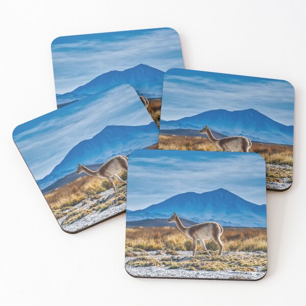 Item preview, Vicuña in the Puna – Argentine High-Altitude Wildlife designed and sold by Keltoi-art.
