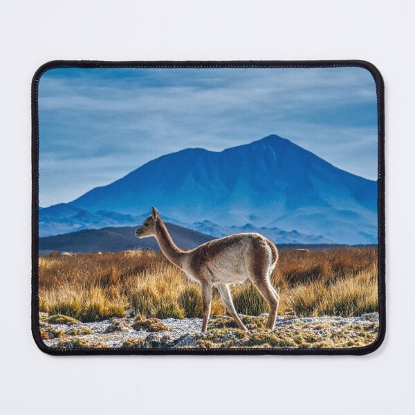 Item preview, Vicuña in the Puna – Argentine High-Altitude Wildlife designed and sold by Keltoi-art.
