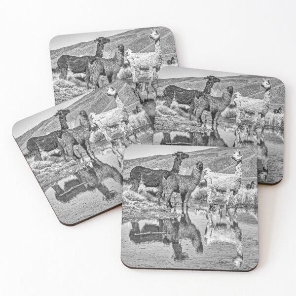 Item preview, Llama Reflection – Black and White High Plateau Puna Wildlife designed and sold by Keltoi-art.