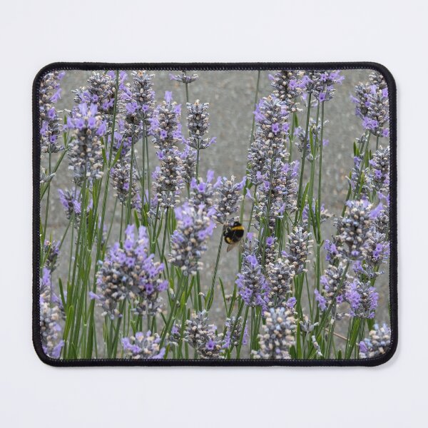 Item preview, Buzzing Beauty: Bee Among Lavender Flowers in Full Bloom designed and sold by Photogenic Snap.