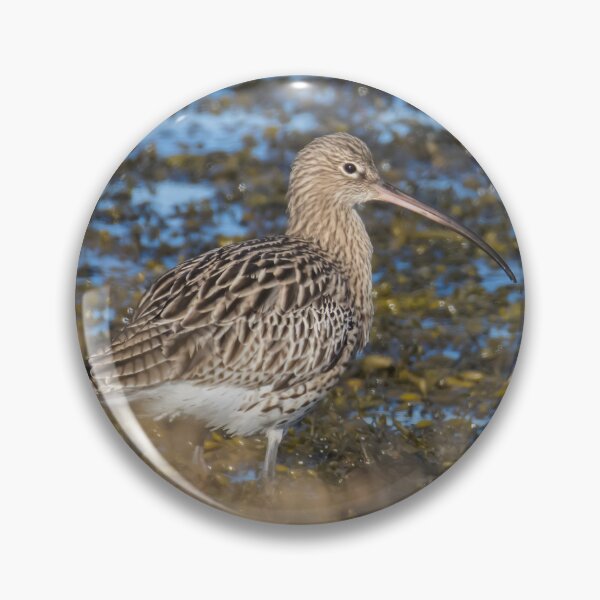 Item preview, Eurasian Curlew designed and sold by LaurenTucker.