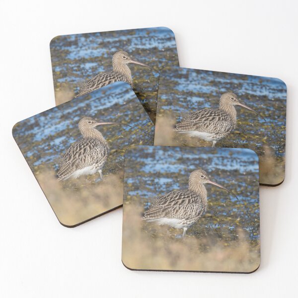 Item preview, Eurasian Curlew designed and sold by LaurenTucker.