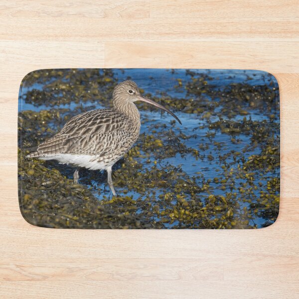 Item preview, Eurasian Curlew designed and sold by LaurenTucker.