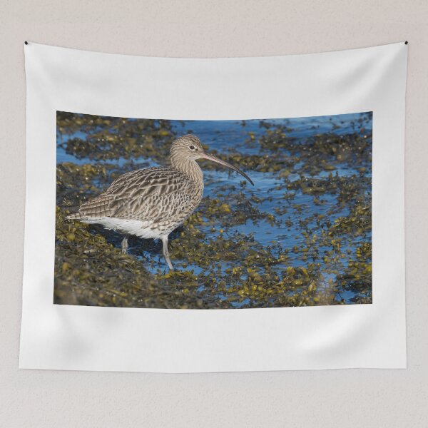 Item preview, Eurasian Curlew designed and sold by LaurenTucker.
