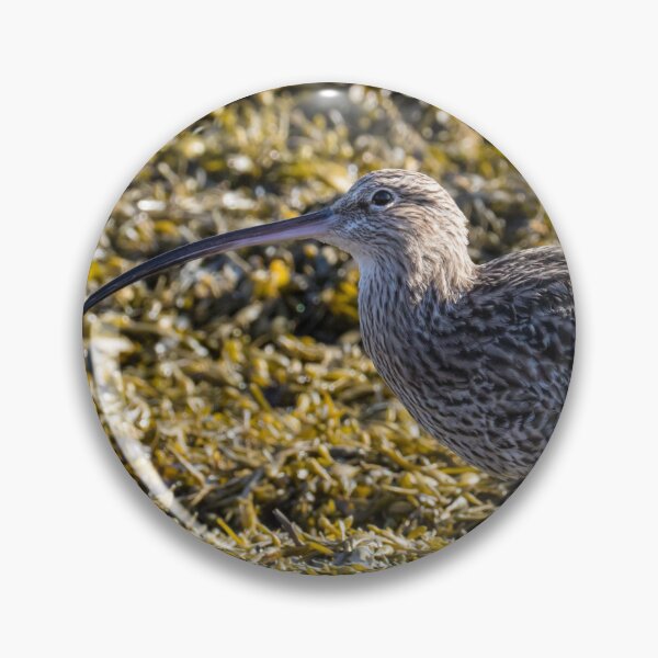 Item preview, Eurasian Curlew designed and sold by LaurenTucker.