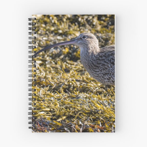 Item preview, Eurasian Curlew designed and sold by LaurenTucker.
