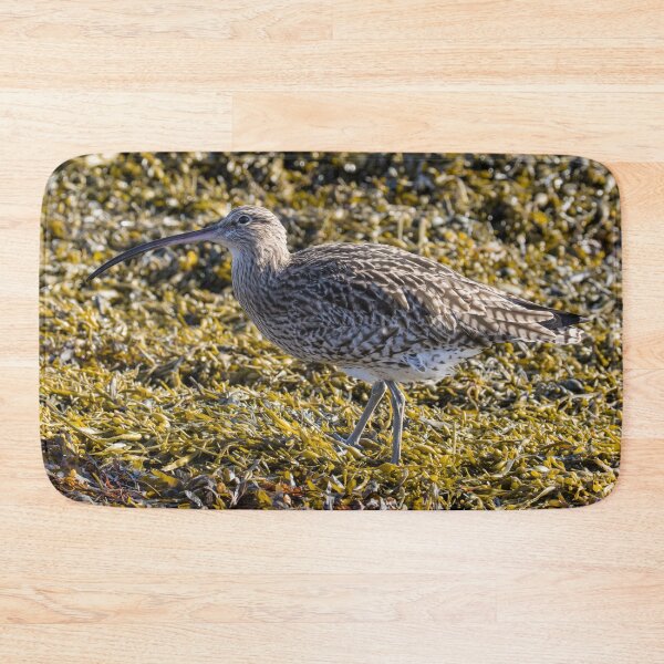 Item preview, Eurasian Curlew designed and sold by LaurenTucker.