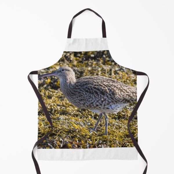 Item preview, Eurasian Curlew designed and sold by LaurenTucker.