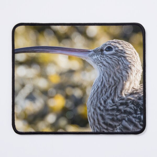 Item preview, Eurasian Curlew designed and sold by LaurenTucker.