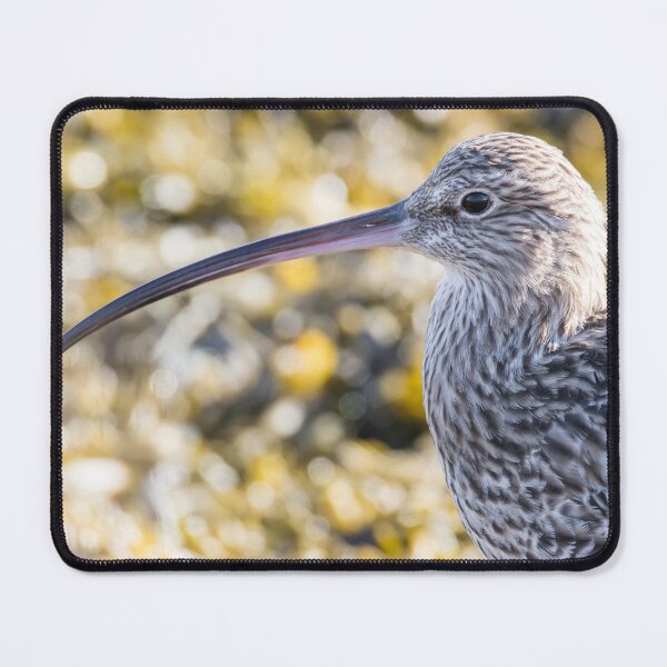 Item preview, Eurasian Curlew designed and sold by LaurenTucker.