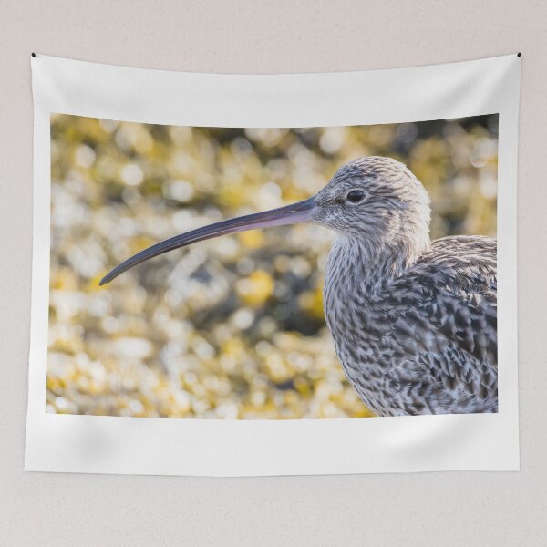 Item preview, Eurasian Curlew designed and sold by LaurenTucker.