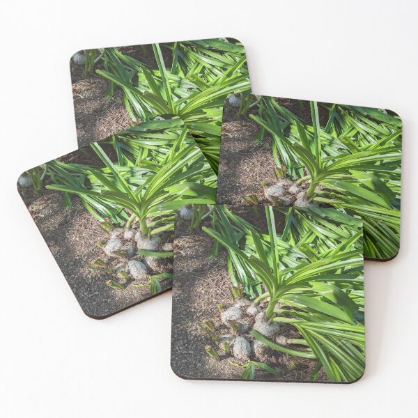 Item preview, Big Leafy Turnips Growing in Clumps designed and sold by Photogenic Snap.