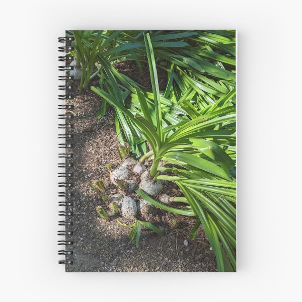 Item preview, Big Leafy Turnips Growing in Clumps designed and sold by Photogenic Snap.