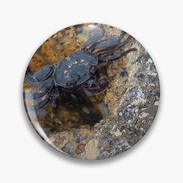 Item preview, Black Crab on the Shore designed and sold by Photogenic Snap.