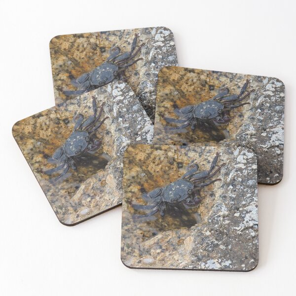 Item preview, Black Crab on the Shore designed and sold by Photogenic Snap.