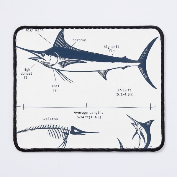 Item preview, BLUE MARLIN FACTS designed and sold by figadesign.