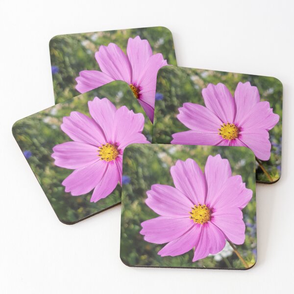 Item preview, Flowers Go Wild in Wimbledon 7 - Pink Cosmos greets the sun designed and sold by ellenhenry.