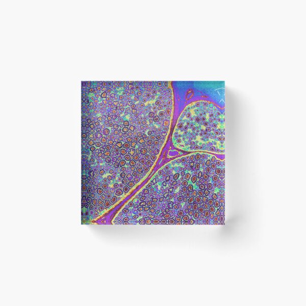Item preview, Sciatic Nerve Collection: Psychedelic Nerve designed and sold by MicroLife-DSG.