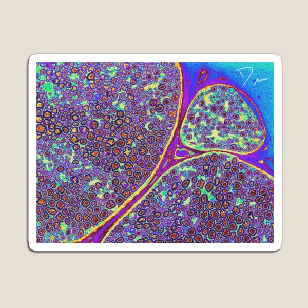 Item preview, Sciatic Nerve Collection: Psychedelic Nerve designed and sold by MicroLife-DSG.