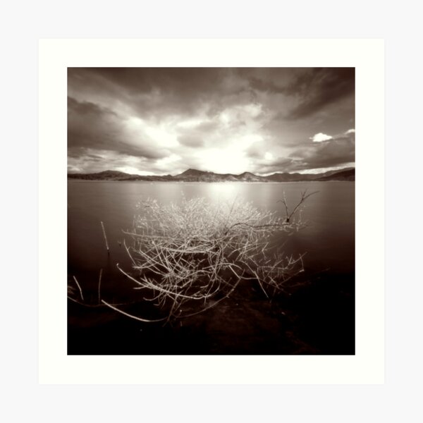 Lake Moogerah Art Print