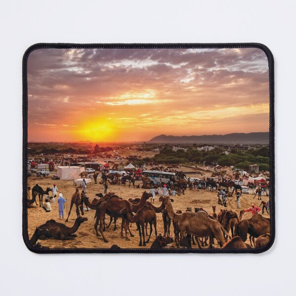 Item preview, Send Your Camel To Bed designed and sold by Kay Brewer.