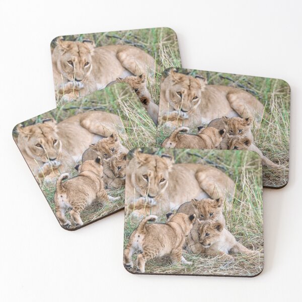 Item preview, Tender Chaos at the Den — Lioness and Three Cubs, Khwai Botswana designed and sold by DavideAntoniani.