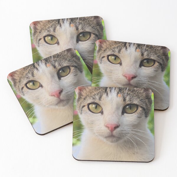 Item preview, Cute Cat Close-Up – Bright Eyes and Pink Nose designed and sold by MB-CatPrints.