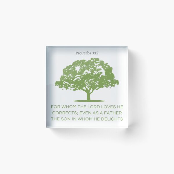 Item preview, Proverbs 3:12 designed and sold by Undonemadenew.
