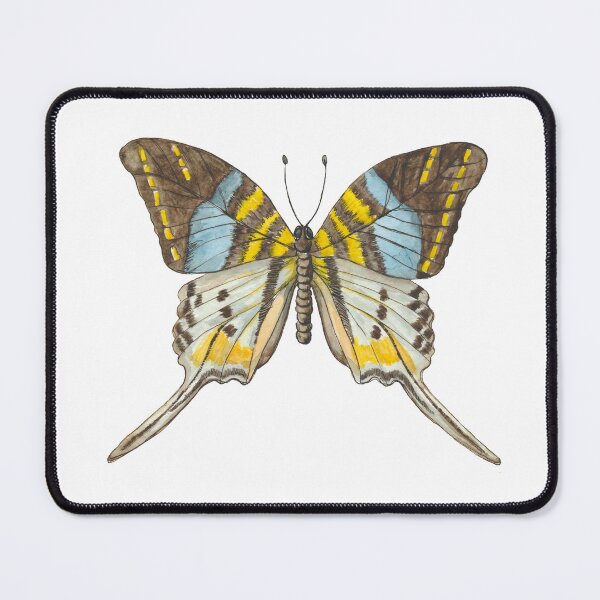 Item preview, Giant Swordtail Butterfly designed and sold by astrongwater.